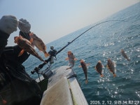 2월12일(목) 진도 피싱랜드1,2호 왕열기 왕우럭 대박 쿨러 조황 1. - 바다 선상낚시 조황. - 서울 포천 제일피싱 낚시 동우회 2월12일(목) 진도... 