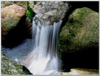 지리산 거림골.대성골 - 알탕산행 [6월 27일(토) AM 07:00] - 거림골.대성골 - 알탕산행... 지리산 거림골.대성골 - 알탕산행 [6월 27일... 