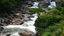지리산 거림골.대성골 - 알탕산행 [6월 27일(토) AM 07:00] - 거림골.대성골 - 알탕산행... 지리산 거림골.대성골 - 알탕산행 [6월 27일... 