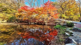 가야산-만물상.상왕봉.칠불봉.해인사. [12월 6일(토) AM 07:00]... (부산) 가야산-만물상.상왕봉.칠불봉.해인사. [12월 6일(토) AM 07:00]