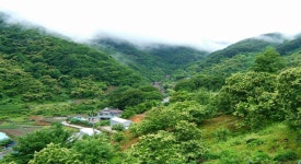 지리산 거림골.대성골 - 알탕산행 [6월 27일(토) AM 07:00] - 거림골.대성골 - 알탕산행... 지리산 거림골.대성골 - 알탕산행 [6월 27일... 