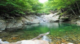 지리산 거림골.대성골 - 알탕산행 [6월 27일(토) AM 07:00] - 거림골.대성골 - 알탕산행... 지리산 거림골.대성골 - 알탕산행 [6월 27일... 