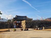 보성 벌교 제석산(563m) 산행길~~!.(24,12,26,목) - 2024년 정기산행사진 - 빛고을명품산악회 보성 벌교 제석산(563m) 산행길~~!.(24,12,26,목)