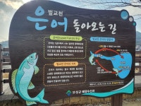 보성 벌교 제석산(563m) 산행길~~!.(24,12,26,목) - 2024년 정기산행사진 - 빛고을명품산악회 보성 벌교 제석산(563m) 산행길~~!.(24,12,26,목)