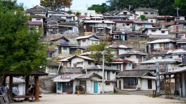 12월25일(목) 보성 오봉산(순천 드라마촬영장)산행안내 - 정기산행 안내및 예약 - 빛고을명품산악회 12월25일(목) 보성 오봉산(순천... 