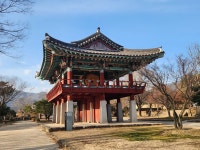 보성 벌교 제석산(563m) 산행길~~!.(24,12,26,목) - 2024년 정기산행사진 - 빛고을명품산악회 보성 벌교 제석산(563m) 산행길~~!.(24,12,26,목)