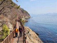 -,시산제 산행(창원 저도 용두산 & 드라마 찰영장)24,3,14,(목) - 2024년 정기산행사진 - 빛고을명품산악회 -,시산제 산행(창원 저도 용두산... 