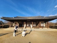 보성 벌교 제석산(563m) 산행길~~!.(24,12,26,목) - 2024년 정기산행사진 - 빛고을명품산악회 보성 벌교 제석산(563m) 산행길~~!.(24,12,26,목)