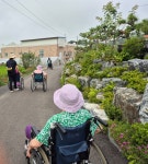 산책나왔어요. - 특화프로그램 - 사마리타 군산 요양원 산책나왔어요.