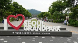 2024년 5월 30일 금오16동기 서울대공원 소풍 - 금오16동기생 이야기 - 금오 16회 서울 동기 모임 2024년 5월 30일 금오16동기 서울대공원... 