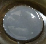 천연발효 사과식초(애사비: 애플 사이다 비니거) 초막 스코비... 카페★ 천연발효 사과식초(애사비: 애플 사이다 비니거) 초막 스코비 모습입니다.