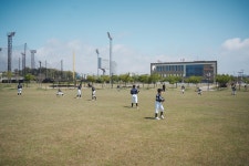 2025.05.03 도미노대회 청주서원구 VS 경산시 - *도미노피자기* - 청주시서원리틀야구단 2025.05.03 도미노대회 청주서원구 VS 경산시