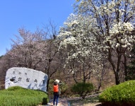 [온라인 전시 -가작] 제3회 생거진천 관광사진 및 다리사진 전국공모전 - ♣공모전 입상작품 갤러리 ♣ - 한국사진작가협회 진천지부 [온라인 전시... 