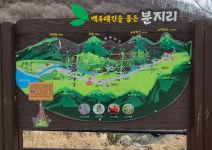 속리산 둘레길 9구간 - 속리산둘레길앨범 - 뫼또메종주클럽 속리산 둘레길 9구간