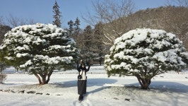 고창 선운산 - 정기트레킹 사진방 - 분당힐링트레킹클럽 고창 선운산