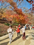 순창 강천산 - 정기트레킹 사진방 - 분당힐링트레킹클럽 순창 강천산