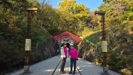 문경 고모산성 오미자터널 - 정기트레킹 사진방 - 분당힐링트레킹클럽 문경 고모산성 오미자터널