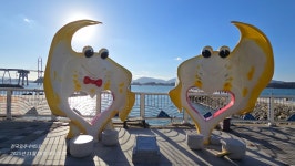 전국일주 4박5일 4일차 순천만 강진 가우도 - 정기트레킹 사진방 - 분당힐링트레킹클럽 전국일주 4박5일 4일차 순천만 강진 가우도