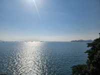 순천국가정원 갈대밭 새째날 - 정기트레킹 사진방 - 분당힐링트레킹클럽 순천국가정원 갈대밭 새째날