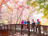 강천산 - 정기트레킹 사진방 - 분당힐링트레킹클럽 강천산