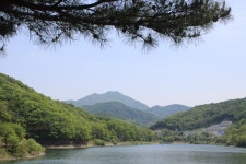 2022년 5월 11일 오남저수지 출사 이야기 - 빛사냥 - 서울고19회 2022년 5월 11일 오남저수지 출사 이야기