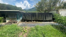 (경남고성부동산)삼산면/ 바닷가5분, 작은개울과 황토방,넓은텃밭과마당/ 깔끔한 전원주택매매 1,372제곱미터(415)/2억9500만원... 