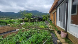 (경남고성부동산 )동해면/황토방/넓은텃밭/잔디마당/접근성 좋은위치/주택매매/ 1133.6제곱미터(343)/2억5천만원... 