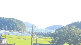 (경남고성부동산)삼산면/바닷가마을,넓은텃밭과 마당,창고,깔끔한 주택매매/ 1,079제곱미터(326)/1억6천만원... 