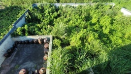 (경남고성부동산)삼산면/바닷가마을,넓은텃밭과 마당,창고,깔끔한 주택매매/ 1,079제곱미터(326)/1억6천만원... 