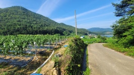 (경남고성부동산)대가면/ 산자락아래 토지, 건축가능한 저렴한토지... (경남고성부동산)대가면/ 산자락아래 토지, 건축가능한... 