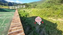 (경남고성부동산)삼산면/바닷가마을,넓은텃밭과 마당,창고,깔끔한 주택매매/ 1,079제곱미터(326)/1억6천만원... 