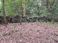 2025.10.14. 제주곶자왈도립공원 - 2025제주 - Cafe de DS2DEK 2025.10.14. 제주곶자왈도립공원