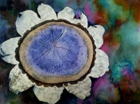 6월야간미술(4,18,25) - 그림교실 - (사)함께크는여성 울림 6월야간미술(4,18,25)