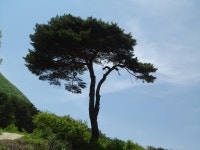2026년 09/13(일) 제천 명산 말목산 - ▣-----추후 산행 공지▣ - 우리원정팀 2026년 09/13(일) 제천 명산 말목산