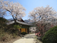 괴산, 역사기행 : 청 풍 명 월~각연사, 천주교 연풍 성지, 마애이불병좌상, 홍범식 고가, 충민사 등 괴산 역사기행 - ⊙산행과 여행정보... 