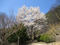 괴산, 역사기행 : 청 풍 명 월~각연사, 천주교 연풍 성지, 마애이불병좌상, 홍범식 고가, 충민사 등 괴산 역사기행 - ⊙산행과 여행정보... 