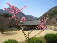 괴산, 역사기행 : 청 풍 명 월~각연사, 천주교 연풍 성지, 마애이불병좌상, 홍범식 고가, 충민사 등 괴산 역사기행 - ⊙산행과 여행정보... 