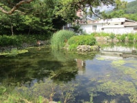 괴산, 역사기행 : 청 풍 명 월~각연사, 천주교 연풍 성지, 마애이불병좌상, 홍범식 고가, 충민사 등 괴산 역사기행 - ⊙산행과 여행정보... 