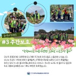 [가을 나들이 1,2,3] - 복지관소식 - 제주순복음종합사회복지관 [가을 나들이 1,2,3]