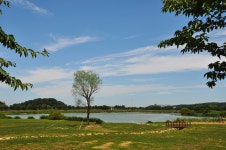 저 언덕 위로 물결 같이 춤추던 ... - 16구간-학이시습지길 - 바우길 바우길