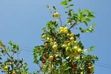 일상(日常)으로의 초대 ... - 6구간-굴산사 가는길 - 바우길 바우길