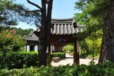 저 언덕 위로 물결 같이 춤추던 ... - 16구간-학이시습지길 - 바우길 바우길