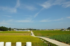 일상(日常)으로의 초대 ... - 6구간-굴산사 가는길 - 바우길 바우길