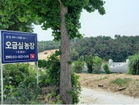 여주 나들이 / 오금실 공말(구억말) 보뜸말 여주대교 220525 - 땅이름 연구 - 땅이름 여주 나들이 / 오금실 공말(구억말) 보뜸말 여주대교 220525