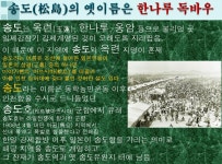 솔고개 솔섬(송도) 221004 - 땅이름 연구 - 땅이름 솔고개 솔섬(송도) 221004