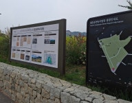 송현공원 코스모스 251025 - 땅이름 연구 - 땅이름 송현공원 코스모스 251025