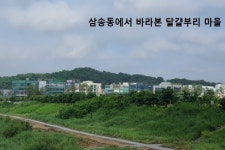 달구벌과 달걀부리 / 달(닭) 땅이름 / 고양시 덕양구 삼송동 - 땅이름 연구 - 땅이름 달구벌과 달걀부리 / 달(닭) 땅이름 / 고양시 덕양구 삼송동