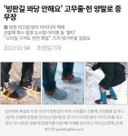 빙판길 꽈당 안해요 고무줄·헌 양말로 중무장 - 악플달면... 차분한 20대들의 알흠다운 공간 빙판길 꽈당 안해요 고무줄·헌 양말로 중무장