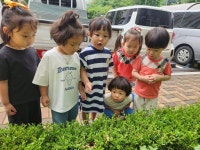 바깥놀이&햇살반과 함께 한 신체활동 &방송댄스 - 열매반(4세) - 오산 한솔키즈, 하늘숲어린이집 바깥놀이&햇살반과 함께 한 신체활동 &방송댄스
