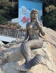 동백꽃 지심도(1) - .....정기♡사진방 - 청주 수요힐링산악회 동백꽃 지심도(1)